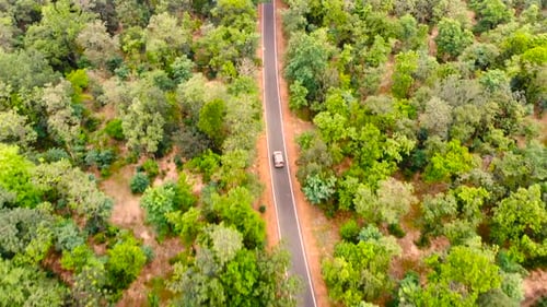 Aerial view of white car driving on country road in forest. Cinematic drone shot flying over gravel