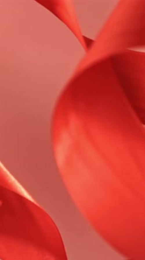 A Red Ribbon Falls on the Table Filmed on a Highspeed Camera at 1000 Fps