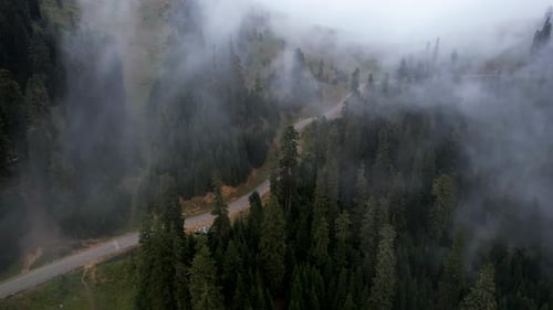 Car In The Foggy Mountain Forest