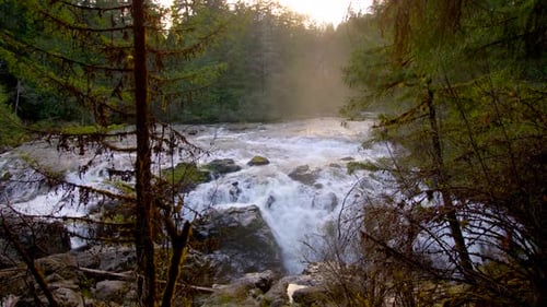 Vancouver island waterfall cascades through lush green forest by drone