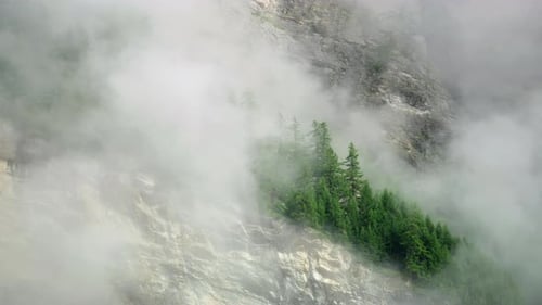 Misty Alpine Forest on Rocky Mountainside, Zermatt Switzerland