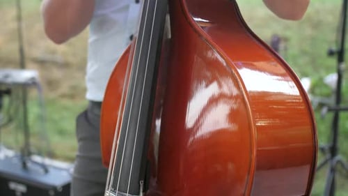 Man Plays Upright Bass Outdoors in Greenery