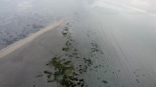 Aerial view coastal of green