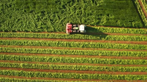 Aerial shot of farming tractor is plowing and cultivating field for future sowing new crops in a s