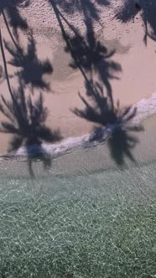 View at Palms at the Beach