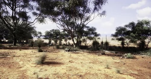 Desert Landscape with Sparse Vegetation and Distant Hills Under Clear Sky