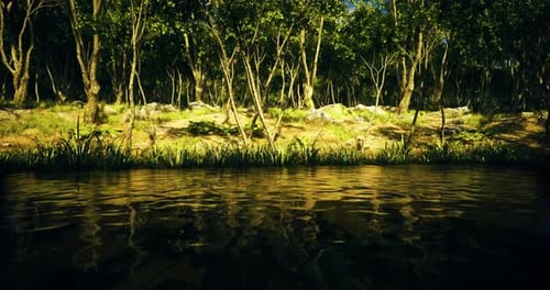 Lush Forest Landscape with a Tranquil River Reflecting the Surroundings