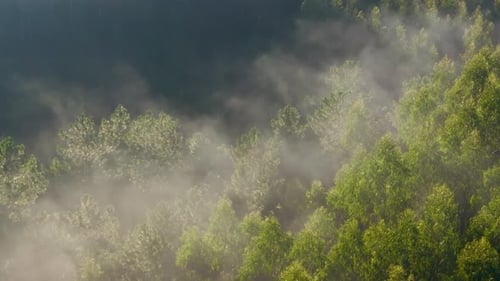 Sunrise Wispy Clouds Over Wilderness In Paiosaco, A Laracha, A Coruna, Spain. Aerial Shot