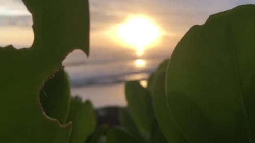 romantic scene of a sunset in a tropical beach
