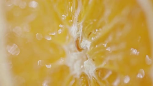 Orange Fruit