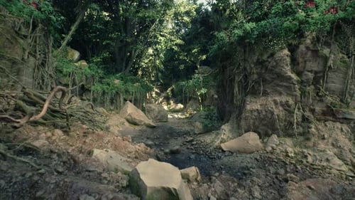 Winding Dirt Road Through Forest With Trees and Rocks Mountain Path