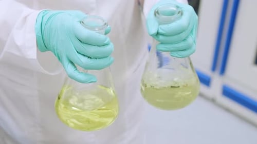 Scientist Holds Flasks of Yellow Liquid in Lab