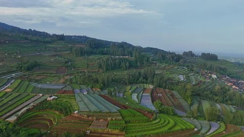 Aerial panorama of agrarian plantation landscape and village on mountainside.