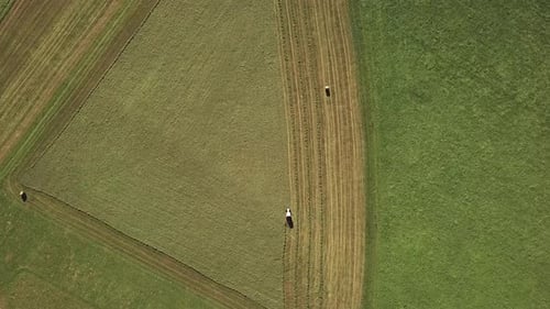 Aerial Top View of Harvester Machines Working in a Fields