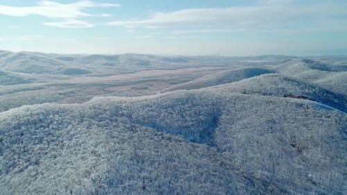 Aerial View of a Frozen Forest with Snow Covered Trees at Winter Flight Above Winter Forest Aerial