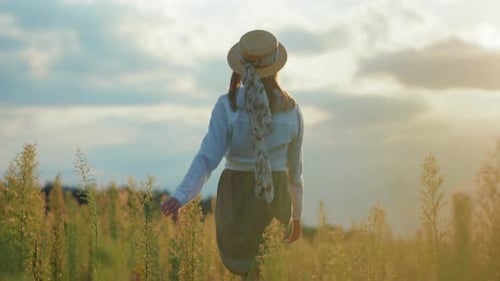 In Field Shot Back Woman with Hat and Dress at Sunlight Walking Expression Warm Nature Holidays