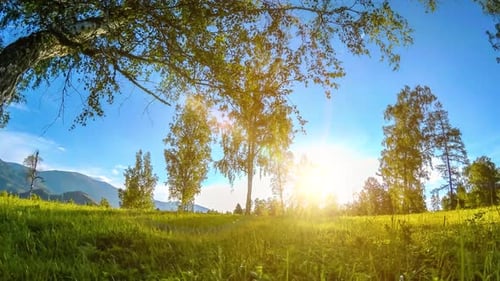 Mountain Meadow Timelapse at the Summer or Autumn Time Wild Nature and Rural Field Motorised Slider
