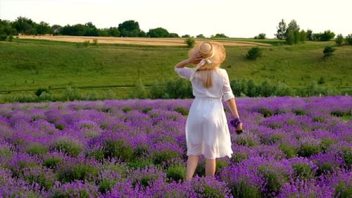 Femme dans un champ de lavande
