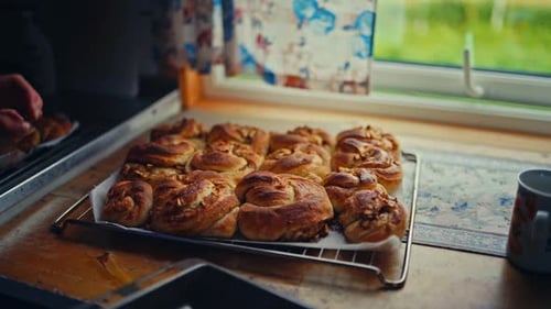 Frisch gebackene Zimtschnecken, die auf einem Backblech abkühlen. Nahaufnahme