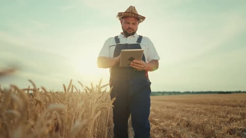 Agribusiness and Agronomy Farmer with Modern Digital Tablet Walking in Field Ripening Golden Rye