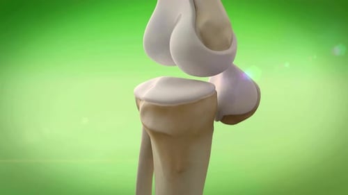 3D Human Knee Joint Bone Anatomy Medical Animation