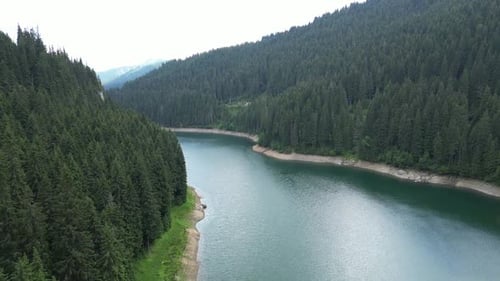 Flying Over The Roumanian Lake