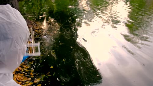 Conduct a Water Study on a River Selective Focus