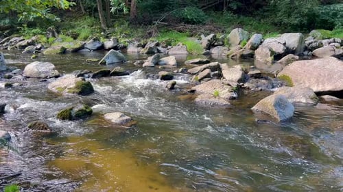 Stream Water and Green Mossy Rocks River Flow in the Mountains