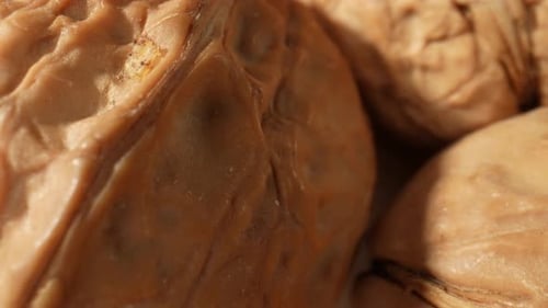 Close Up of Textured Walnuts on Table