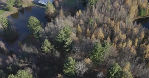 Drone aerial clip reveal from a forest to a beautiful acreage property with a large pond and a bunch