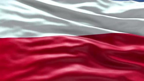 Realistic White and Red Waving Flag Animation Loop