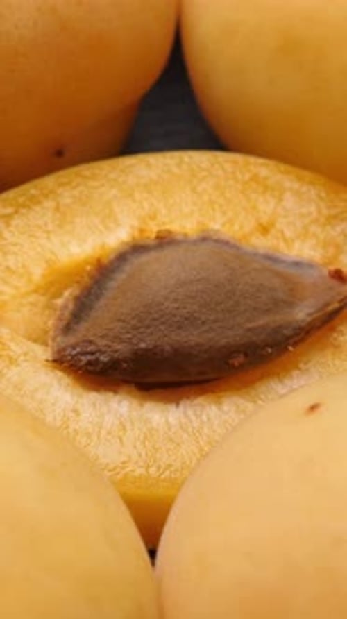 Apricots close-up with stone fresh fruit vertical