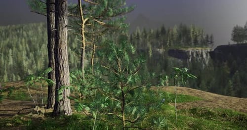 Lush Forest Landscape with Rocky Cliffs and Vibrant Greenery During Daylight
