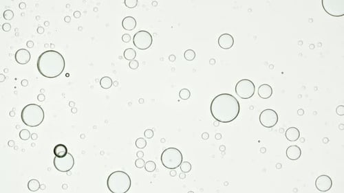 Macro Shot of Various Air Bubbles Super Slow Motion Beauty Glossy Moisturizing Bubble Blobs High