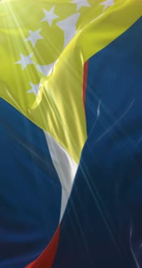 Realistic Waving Flag Background Loop Vertical Video