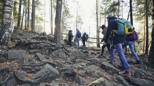 Group of Adults Hiking Up Rocky Hill in Forest