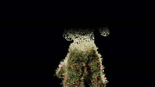 Plant Growing on a Prayer 3d