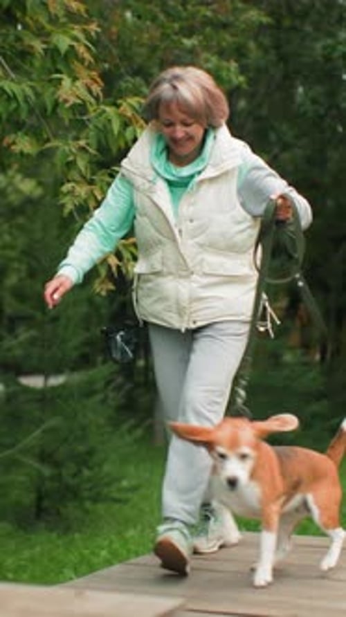 Woman Walks Dog Across Wooden Agility Course