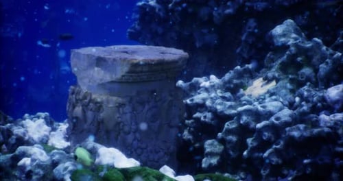 Ancient Underwater Relic Among Coral in a Vibrant Ocean Setting