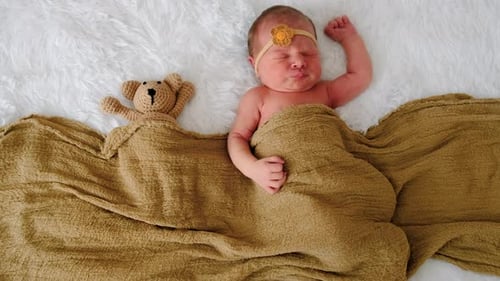 Sleeping Infant with Teddy Bear, Bird's Eye View