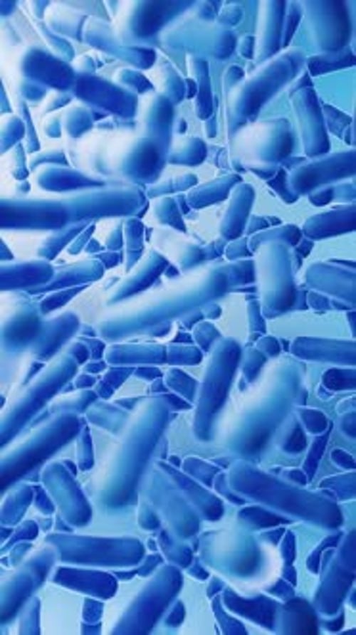 Animated Blue Microscopic Bacteria Cells Flowing Upwards