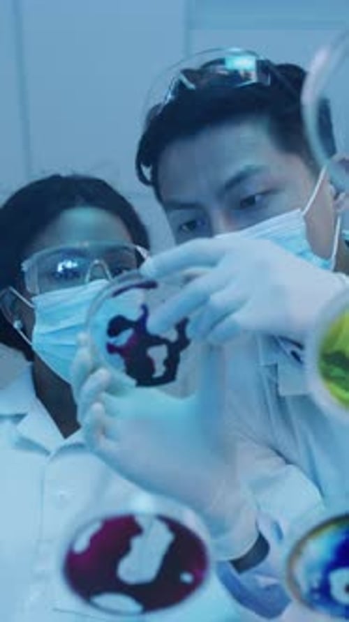 Scientists Inspecting Petri Dishes in Lab Wearing Masks