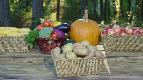 Fresh Vegetable Selection Harvested Fruits and Vegetables for Market Organic Farming Vegetables in