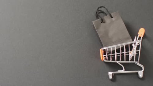 Mini Shopping Cart With Black Shopping Bag
