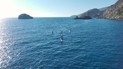 Aerial View CrystalClear Water Beach People Swimming Sunbathing and Having Fun on Paddleboards