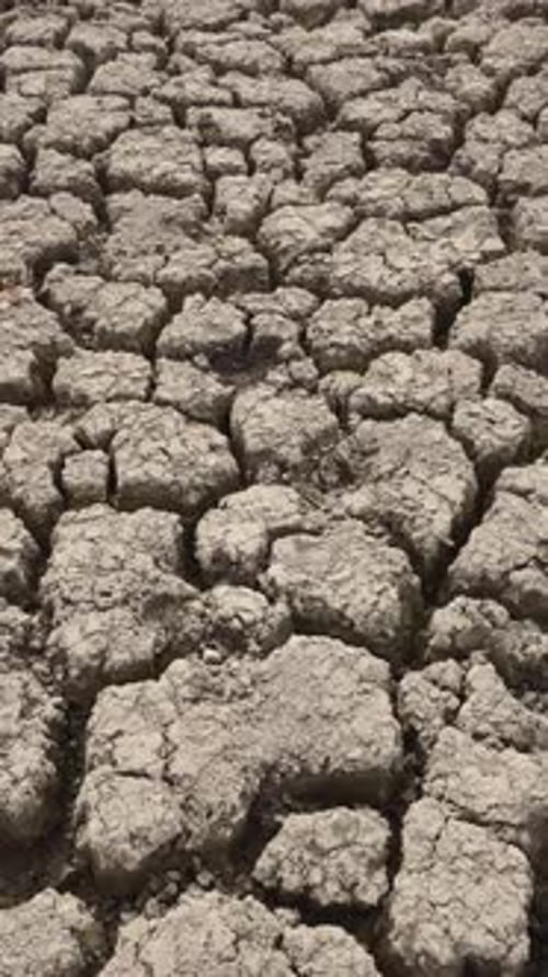 Close-up of ground is deeply cracked from prolonged drought.