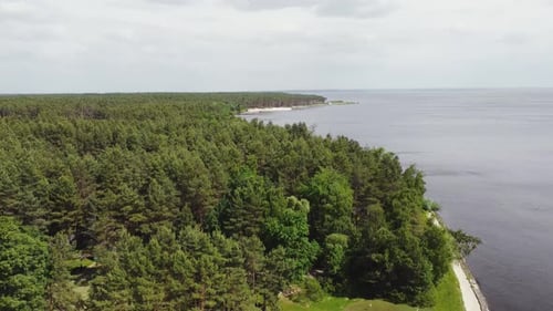 Aerial View of a Large Lake with a Pine Forest on the Shore Peaceful Landscape Aerial View of a