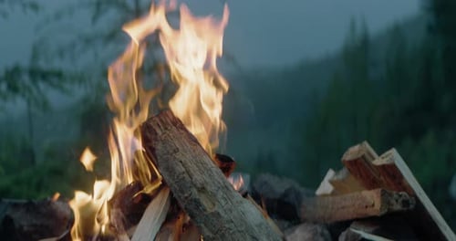 Campfire Flames Burning Bright in Nature Setting
