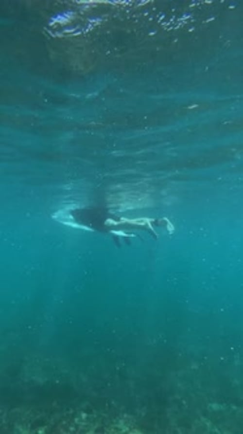 Underwater Video of Surfer on a Surfboard