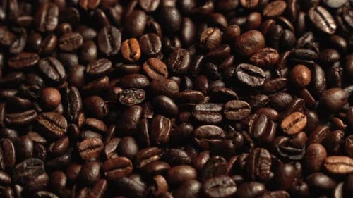 Close Up of Roasted Coffee Beans